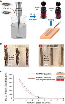 Recent Advances in Metal/Alloy Nano Coatings for Carbon Nanotubes Based on Electroless Plating